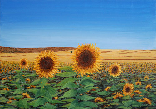 Pintura de Graciano Garcia - Girasoles