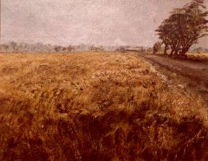 Pintura de Graciano Garcia - Viento en Scania 