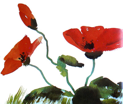 Poppies watercolor brush strokes