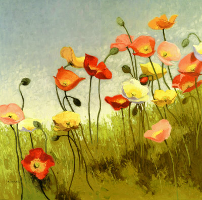 Shirley Novak. Amapolas