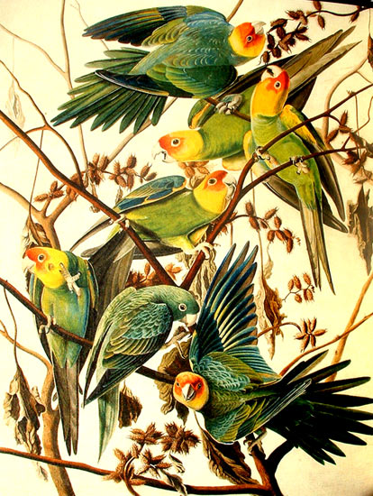 Arte naturalista best sale caracteristicas