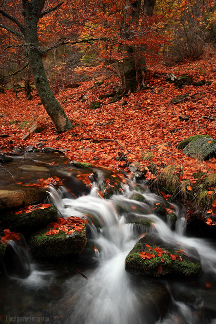 Rio y otoño