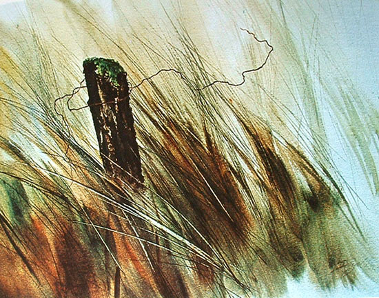Zoltan Szabo watercolor Zoltan Szabo watercolor