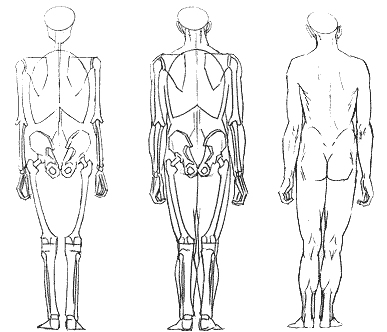 Anatomía de la figura en movimiento - Pintura y Artistas