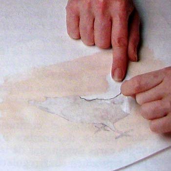 Liquido Enmascarador Para Pintar Acuarela Pintura Y Artistas Liquido Enmascarador Para Pintar Acuarela Pintura Y Artistas