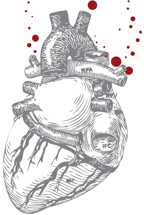 Pintar la anatomía de un corazón - Pintura y Artistas