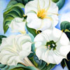 Las flores de Georgia O´Keeffe 