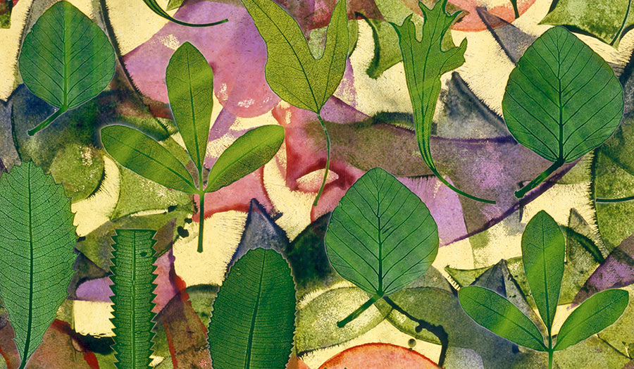 Garden of Extinct Leaves de Philip Taaffe