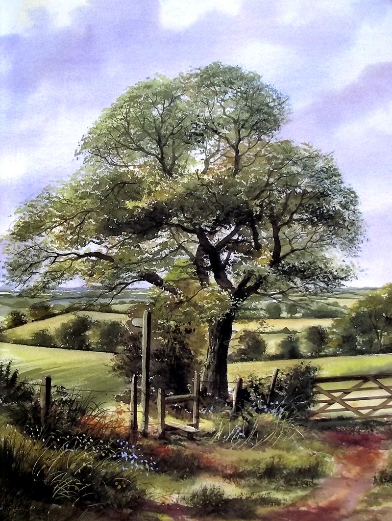 Paisaje con árbol de Terry Harrison