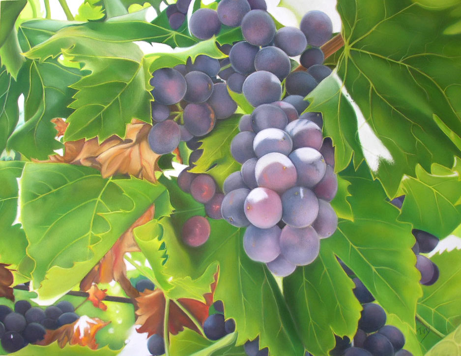 Uvas de Yvette Fretin