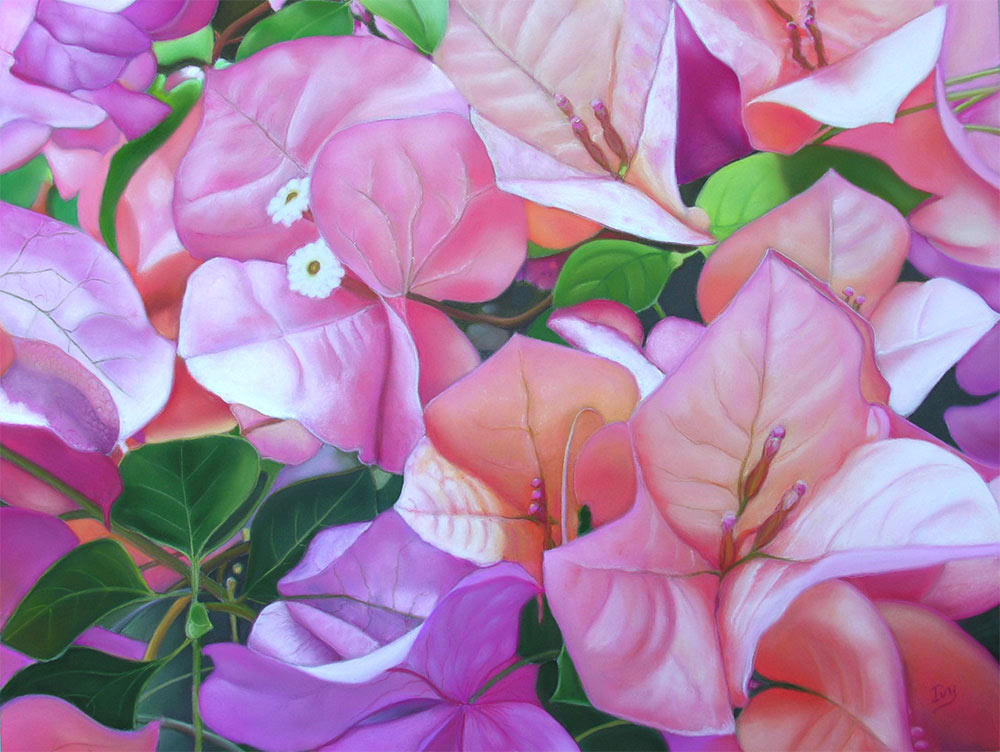 Bougainvilliers de Yvette Fretin