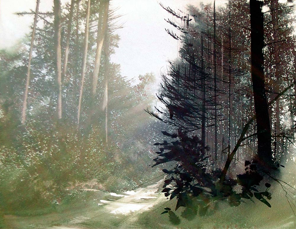 Bosque el camino de los Douglas, de Jean Claude Chaillou